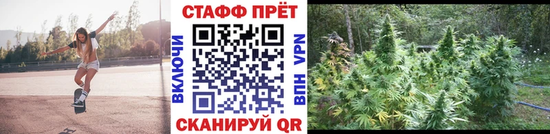 ГАШИШ Карачаевск