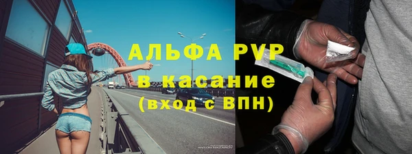 амф Гусь-Хрустальный