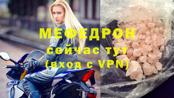 амф Гусь-Хрустальный