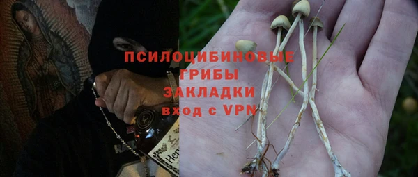 амф Гусь-Хрустальный