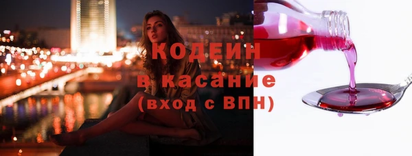 ГАЛЛЮЦИНОГЕННЫЕ ГРИБЫ Гусев