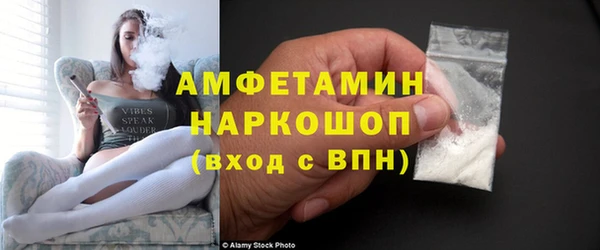 амф Гусь-Хрустальный
