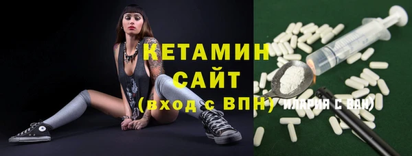 амф Гусь-Хрустальный