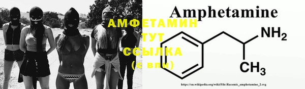 ГАЛЛЮЦИНОГЕННЫЕ ГРИБЫ Гусев