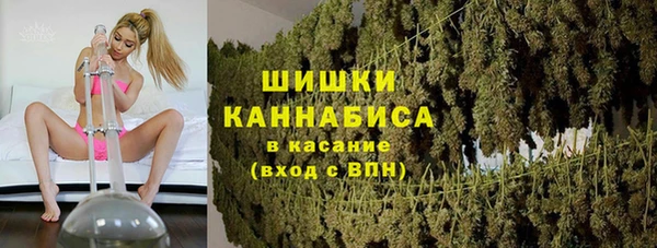 ГАЛЛЮЦИНОГЕННЫЕ ГРИБЫ Гусев