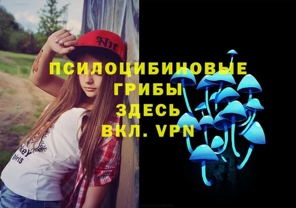 ГАЛЛЮЦИНОГЕННЫЕ ГРИБЫ Гусев