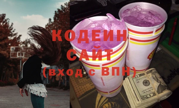 амф Гусь-Хрустальный