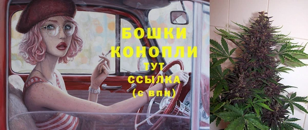 ГАЛЛЮЦИНОГЕННЫЕ ГРИБЫ Гусев