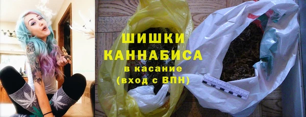 амф Гусь-Хрустальный