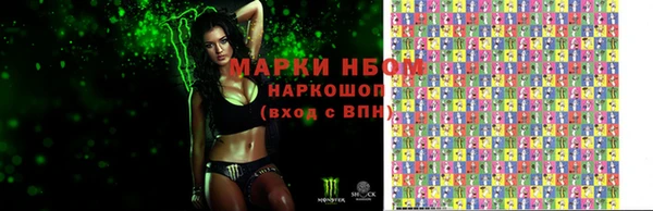 ГАЛЛЮЦИНОГЕННЫЕ ГРИБЫ Гусев